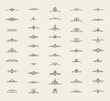 © designerr019 - Wicker lines and old decor elements in vector.
