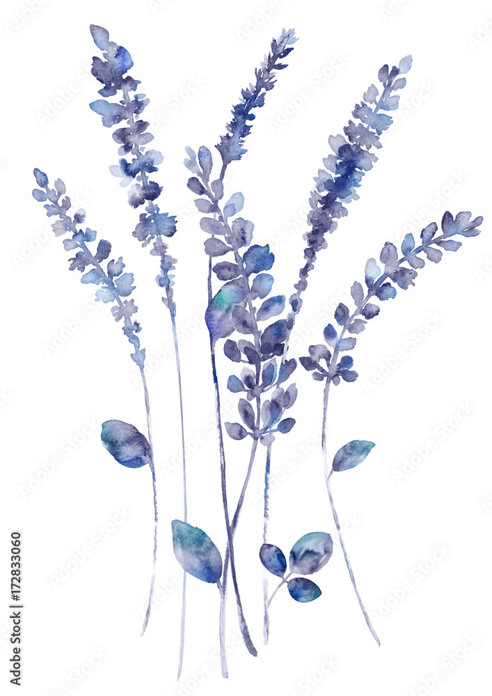 Watercolor flowers set. Hand drawn floral elements isolated on white ...