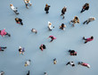 Group of people viewed from above