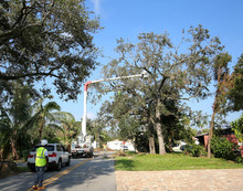 Hurricane Irma Debris Workers Using Bucket Trucks To Go Through Neighborhoods Cleaning Up And Removing Damage Tree Limbs.