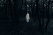 © natasamandic/Stocksy - Halloween ghost in a dark forest