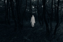 Halloween Ghost In A Dark Forest