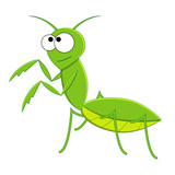 Fototapeta Dinusie - Cute cartoon vector mantis isolated on white background. Cartoon insects.