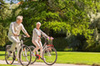 © Syda Productions - happy senior couple riding bicycles at summer park