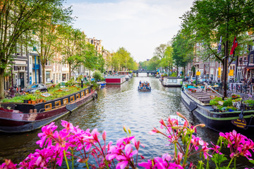 amsterdam - netherlands