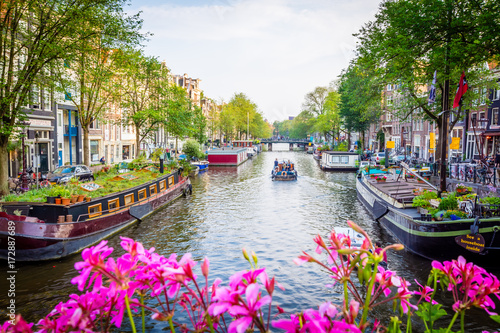 Fototapeta Amsterdam kwiaty-na-moscie-w-amsterdamie