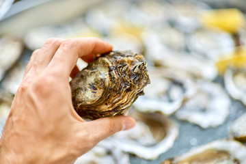 Wall Mural - Closed oyster in a male hand, against the background of open oys