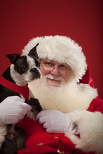 Santa Sits With Puppy Dog