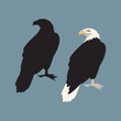 eagle vector illustration style flat black silhouette