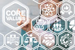 © wladimir1804 - Core Values Medicine concept. Doctor presses core values text button on a virtual screen.