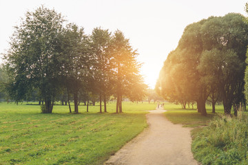 Wall Mural - park in the fall at sunset