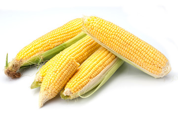 Maize