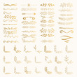 Filigree dividers. Fancy corners and borders. Hand drawn vector illustration.