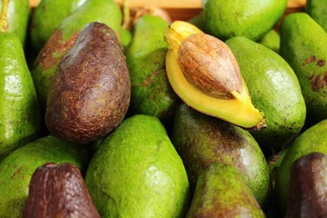 Wall Mural - Fresh green avocado is delicious in market