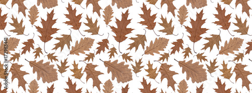banner  background autumn pattern