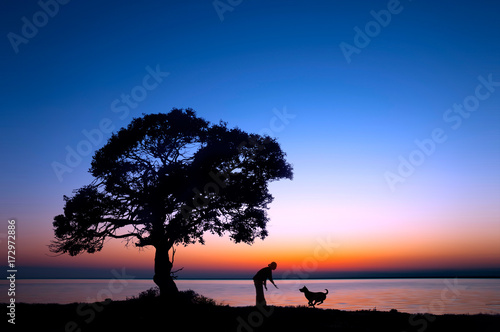 湖畔を散歩する女性と犬のシルエット Stock イラスト Adobe Stock 湖畔を散歩する女性と犬のシルエット Stock イラスト Adobe Stock