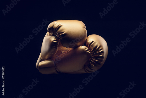 Plakat rękawice bokserskie