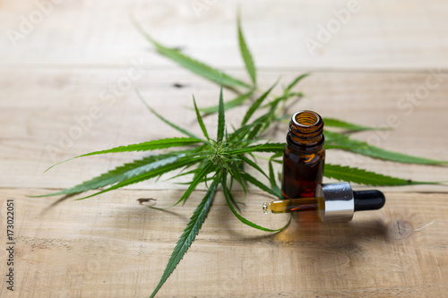 Zdjęcie XXL Lecznicza marihuana z ekstrakcyjnym olejem w butelce
