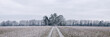 © Liam Grant Photography/Stocksy - Rural scene covered in a thick hoar frost. Norfolk, UK.