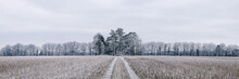 Rural Scene Covered In A Thick Hoar Frost. Norfolk, UK.