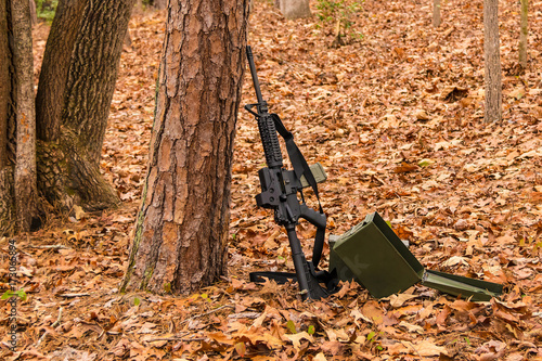 Zdjęcie XXL Karabin szturmowy M16 i pudełko amunicji stoi w pobliżu drzewa na suchych liści w lesie jesienią