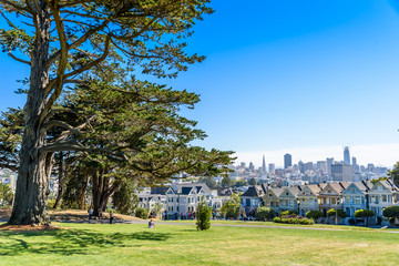 Beautiful view of Painted Ladies, colorful Victorian houses located near scenic Alamo Square in a row, on a summer day with blue sky, San Francisco, California, USA