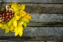 Autumn Background With Colored Leaves And Chestnuts On Old Wooden Boards. Copy Of Space For Writing Text.