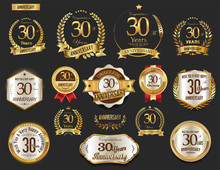 Anniversary Golden Laurel Wreath And Badges 30 Years Vector Collection