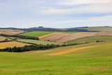 Fototapeta Krajobraz - Sussex Patchwork Landscape