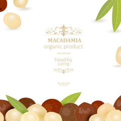 Wall Mural - banner with macadamia on white background for your design