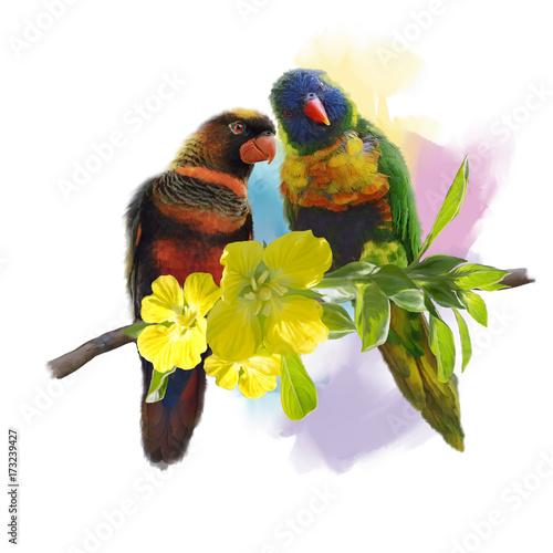 Lorikeet Parrots watercolor