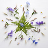 Fototapeta Natura - Flower mandala