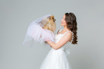 Wall Mural - beautiful bride girl with spitz bride on gray background