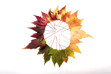 frame composed of colorful autumn leaves over white