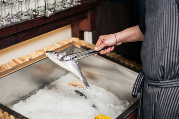 High Angle Still Life of Variety of Raw Fresh Fish Chilling on Bed of Cold Ice