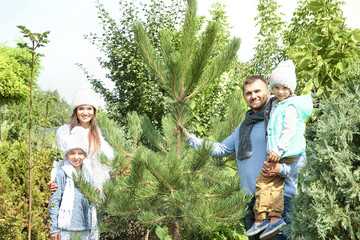 Poster - Happy family at Christmas tree market