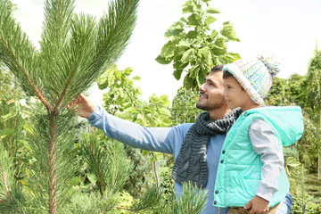 Poster - Young father and son at Christmas tree market