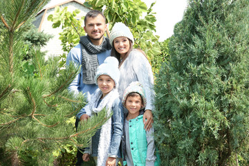 Wall Mural - Happy family at Christmas tree market