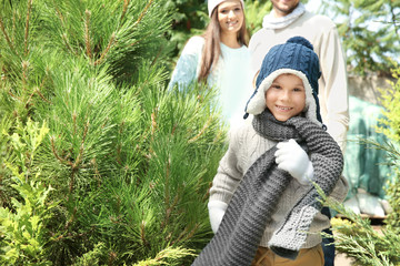 Poster - Cute boy and his family at Christmas tree market