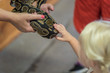 little girl touching snake at zoo