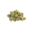 Marijuana Cannabis buds