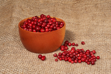 Wooden bowl with red bilberry on canvas as background