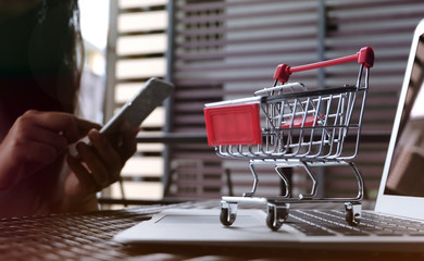 Woman and Small shopping cart with Laptop for Internet online shopping concept.