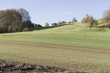 Canvas Print - Agriculture in Switzerland