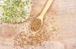 Fresh alfalfa sprouts and seeds - closeup.
