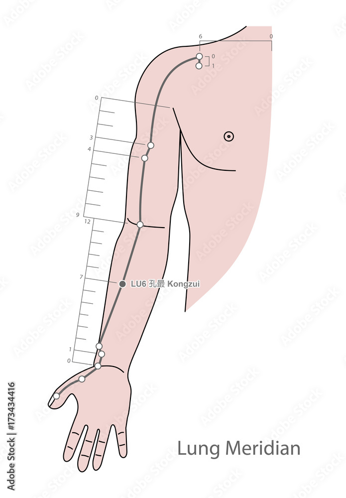 Drawing Acupuncture Point LU6 Kongzui, 3D Illustration Stock ...