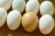 brown and white egg arranging on sackcloth