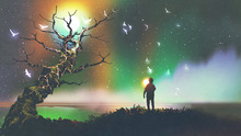 Night Scenery Of The Boy With The Light Ball Looking At Fantasy Tree, Digital Art Style, Illustration Painting