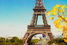 Famous Eiffel Tower Details With Branch Of Fall Tree Close Up, Paris, France