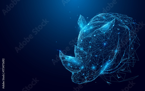 Photographie Rhino from lines and triangles, point connecting network on blue background